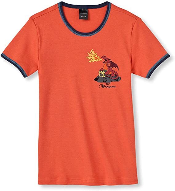 %% STOP %%Schiesser Jungen kurzarm Shirt T-Shirt "Dragons" Gr. 104